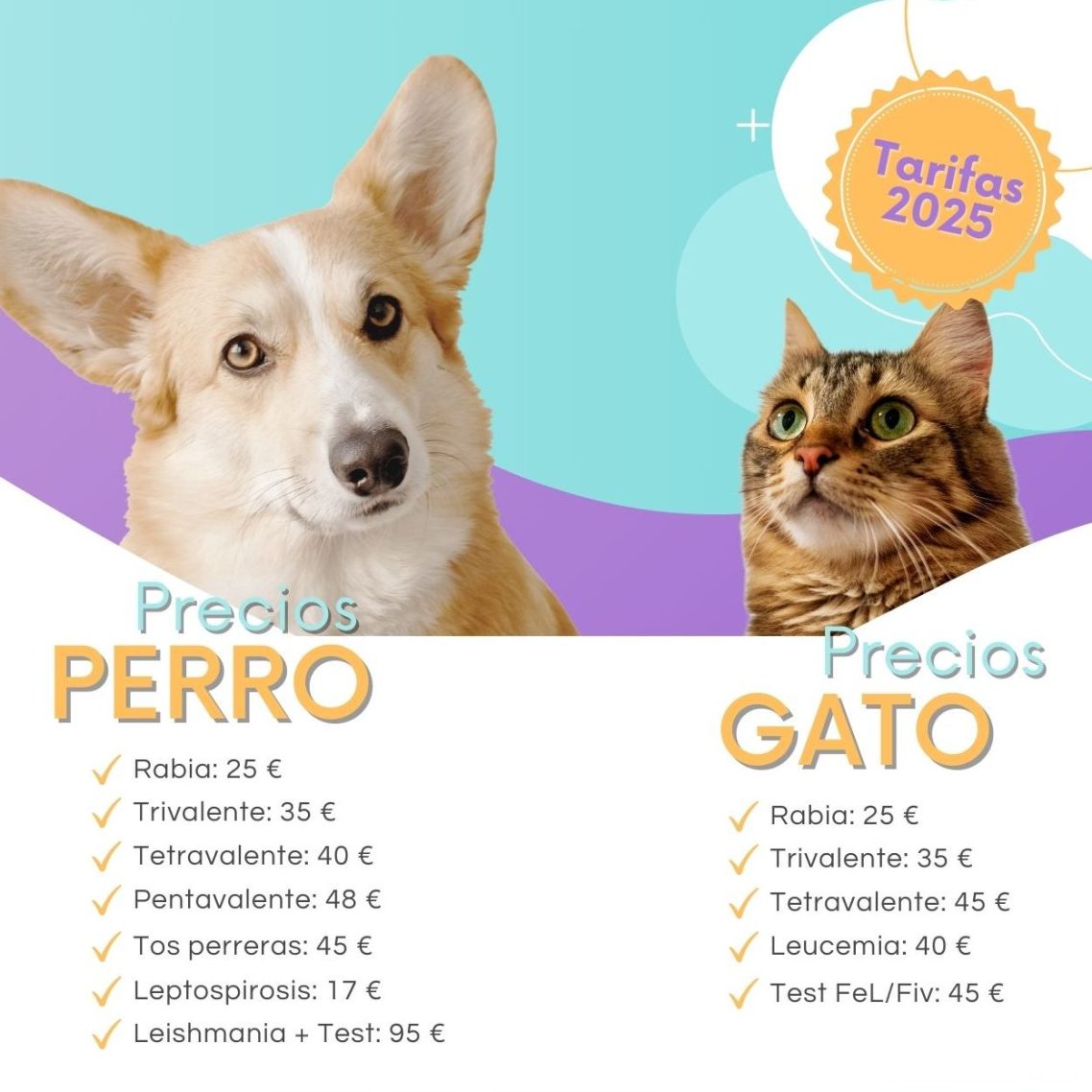 Tarifas_Vacunas_Perros_y_Gatos_2025 Tarifas_Vacunas_Perros_y_Gatos_2025